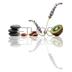 ETHOS Brochure 10 stk.