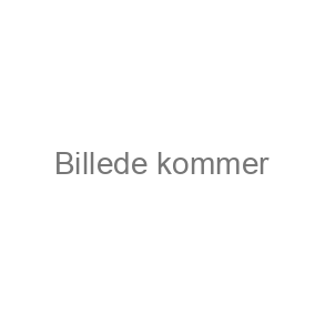 Kurser i Viborg