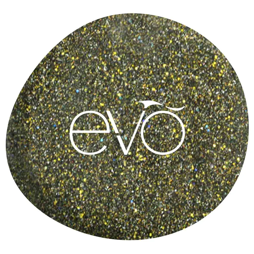 EVO INBAR