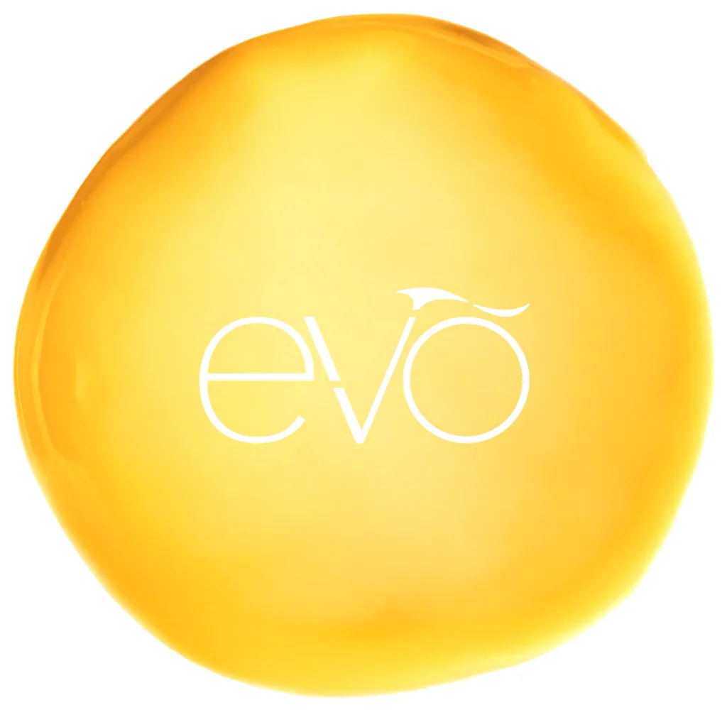 EVO MICHELLE H