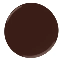 Nail Polish BG nr 347 -  Decadent Cocoa