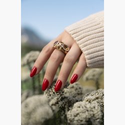 Gemini Nail Polish 14ml - nr.317 A Rambling Rose