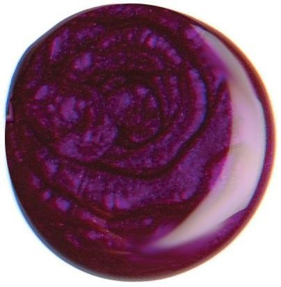 Gemini Nail Polish 14ml - nr.61 Violet Kr.135