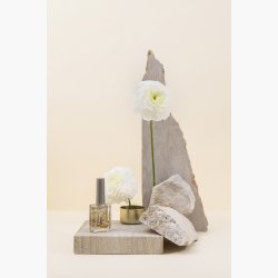 ETHOS Blackcurrant Cuticle Oil