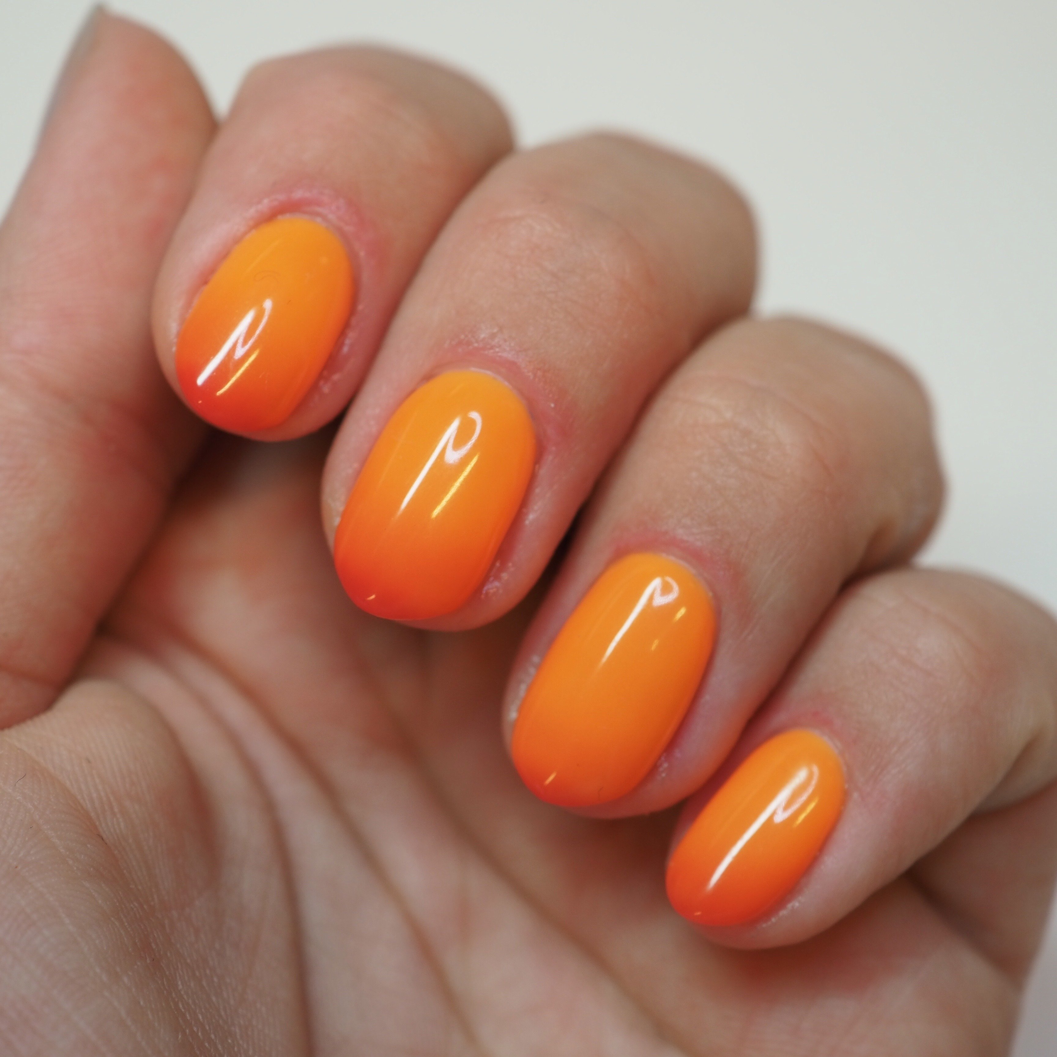 EVO2 Gel 054 GUSTI