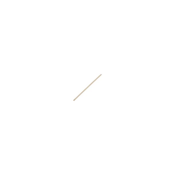 Orange Stick - Lang