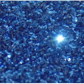 Glitter Perfect Peacock