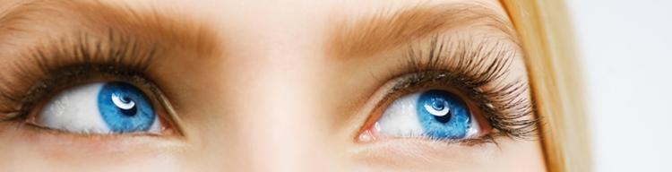 Intensive Lash Lift Kit (10 behl)