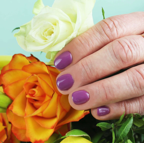 Gemini Nail Polish 14ml - nr.91 Royal Turban Kr.135