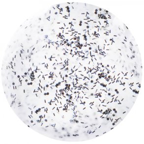 BIO COLOR STIX nr.227 Snowflake Frosting