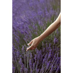 YONKA Hand &amp; Body Lotion