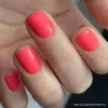 Bio Colour Gel 043 Chelsea