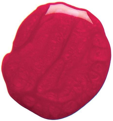 Gemini Nail Polish 14ml - nr.22 Ravishing Red Kr.135